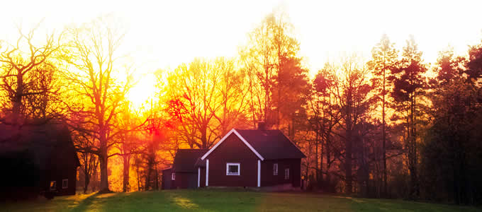 What gets you up in the morning