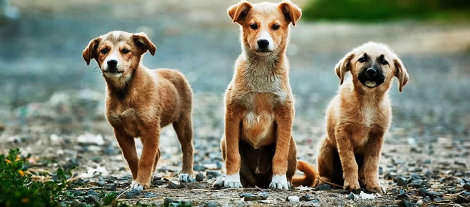 6 Benefits of having Great Company